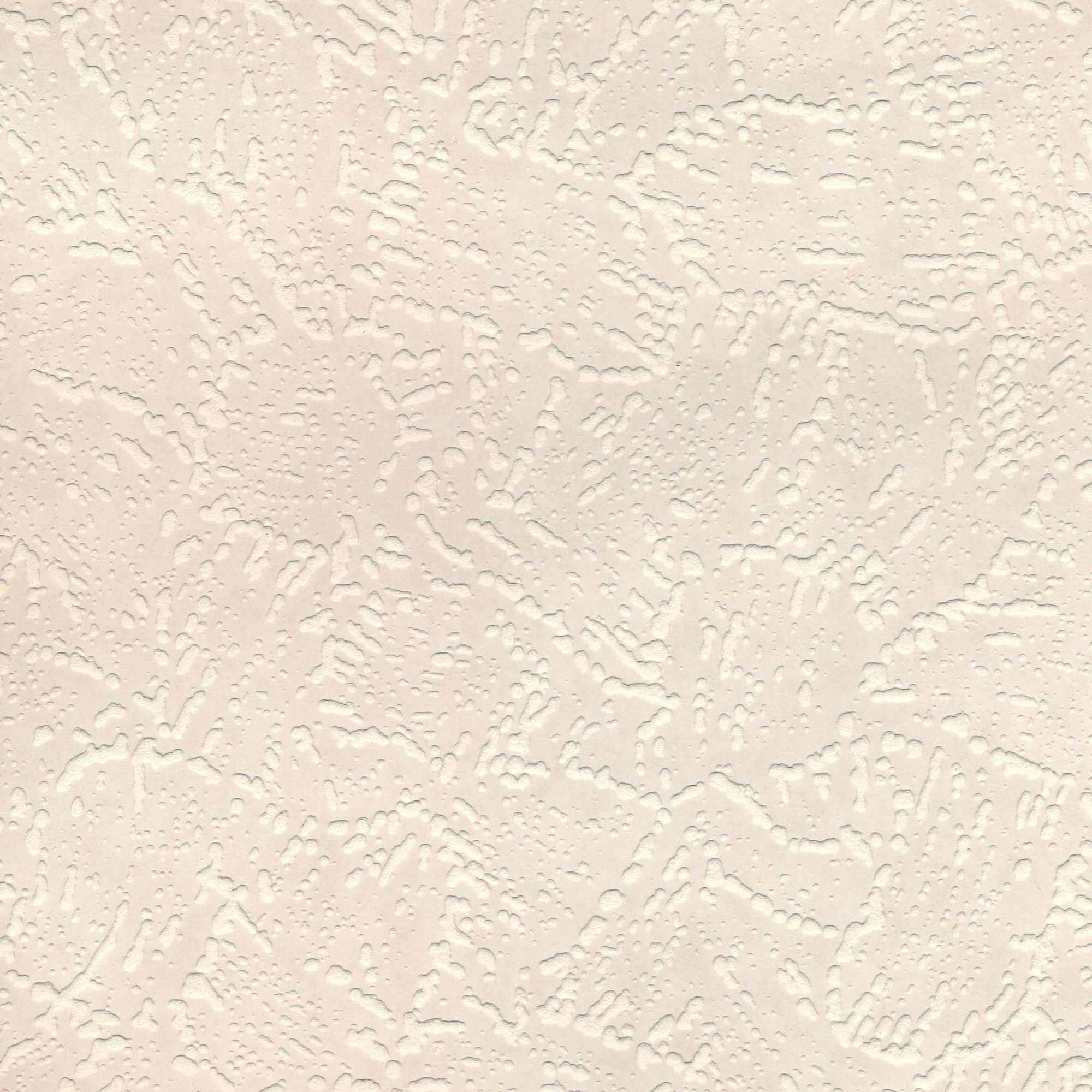 White Bark Wallpaper