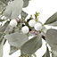 1.83m Eucalyptus & White berry Green Christmas garland