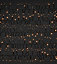 1000 Warm white Cluster LED String lights Green cable