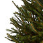 120-150cm Norway spruce Small Full Cut christmas tree