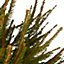 120-150cm Spruce Pyramid Pot grown Christmas tree