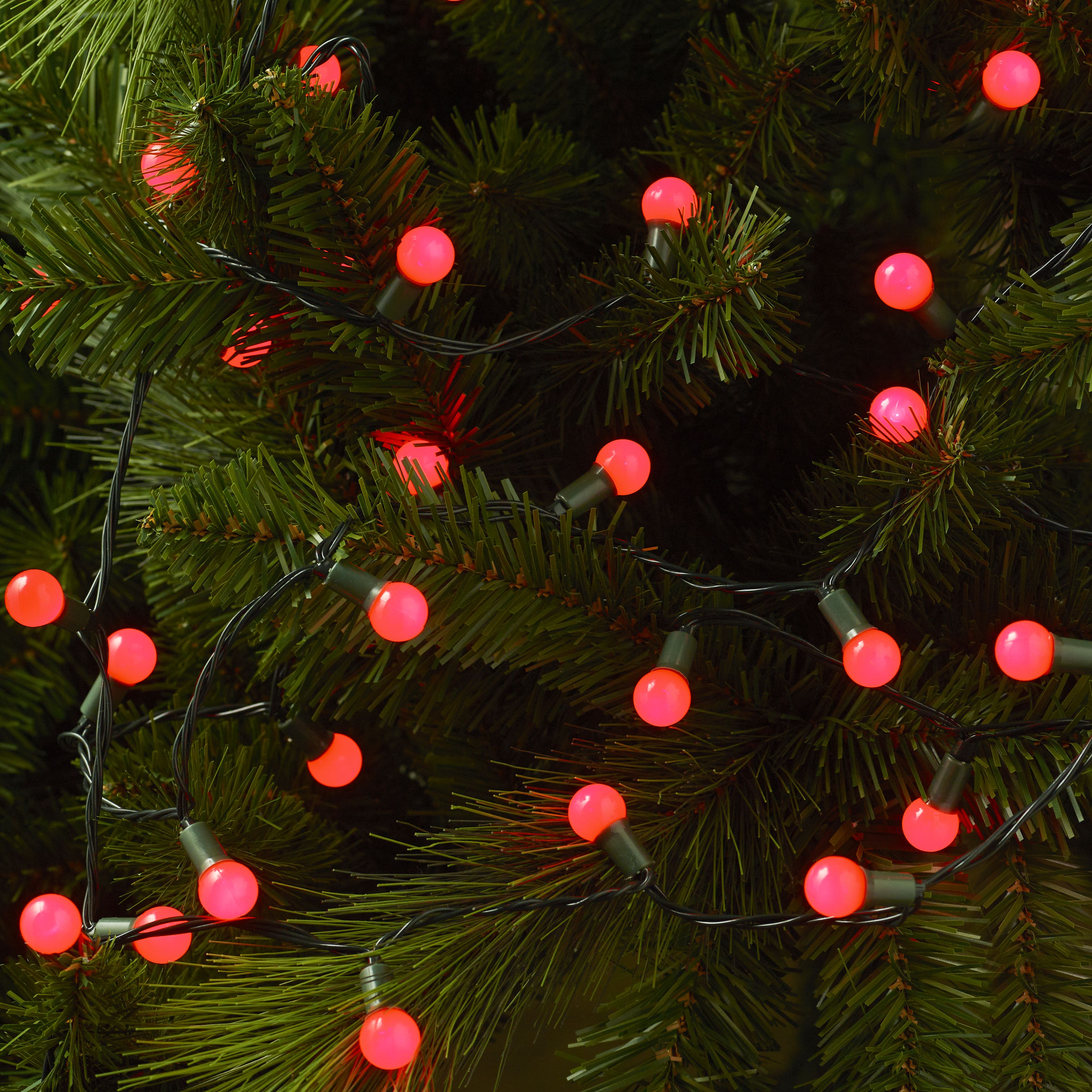 120 Red Berry LED String lights With timer function Green cable