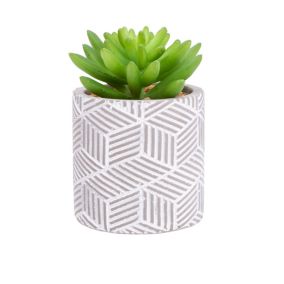 12cm Succulent Artificial plant in Grey Ceramic Pot