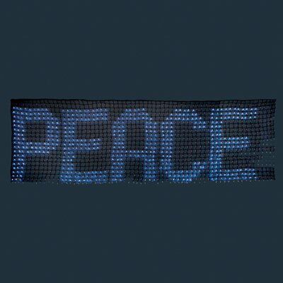 13FT PROGRAMMABLE 1280 LED NET LIGHT