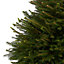 150cm+ Norway spruce Pot grown Christmas tree