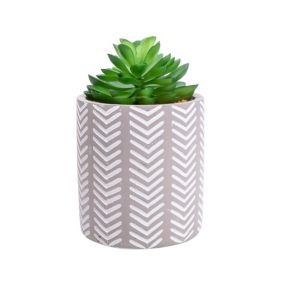15cm Succulent Artificial plant in Grey Ceramic Pot