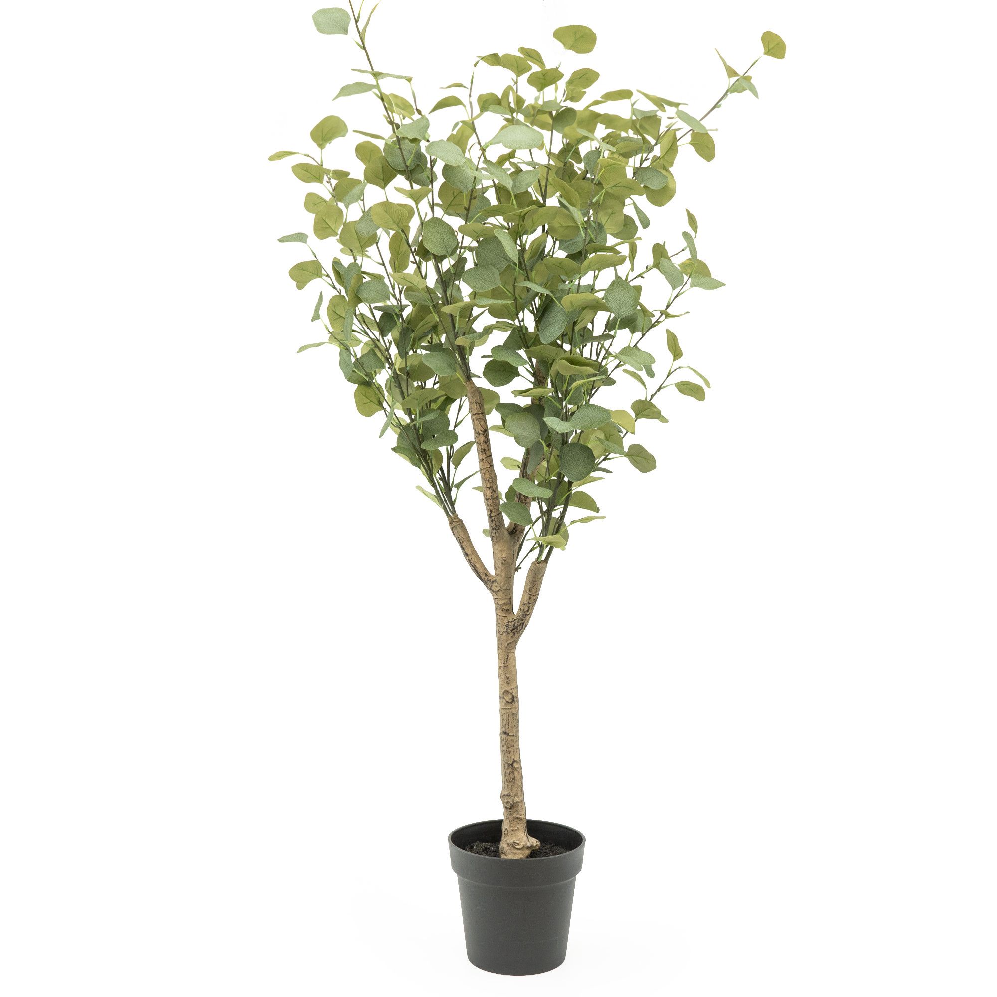 160cm Eucalyptus Tree Artificial plant in Black Australian Pot | DIY at B&Q