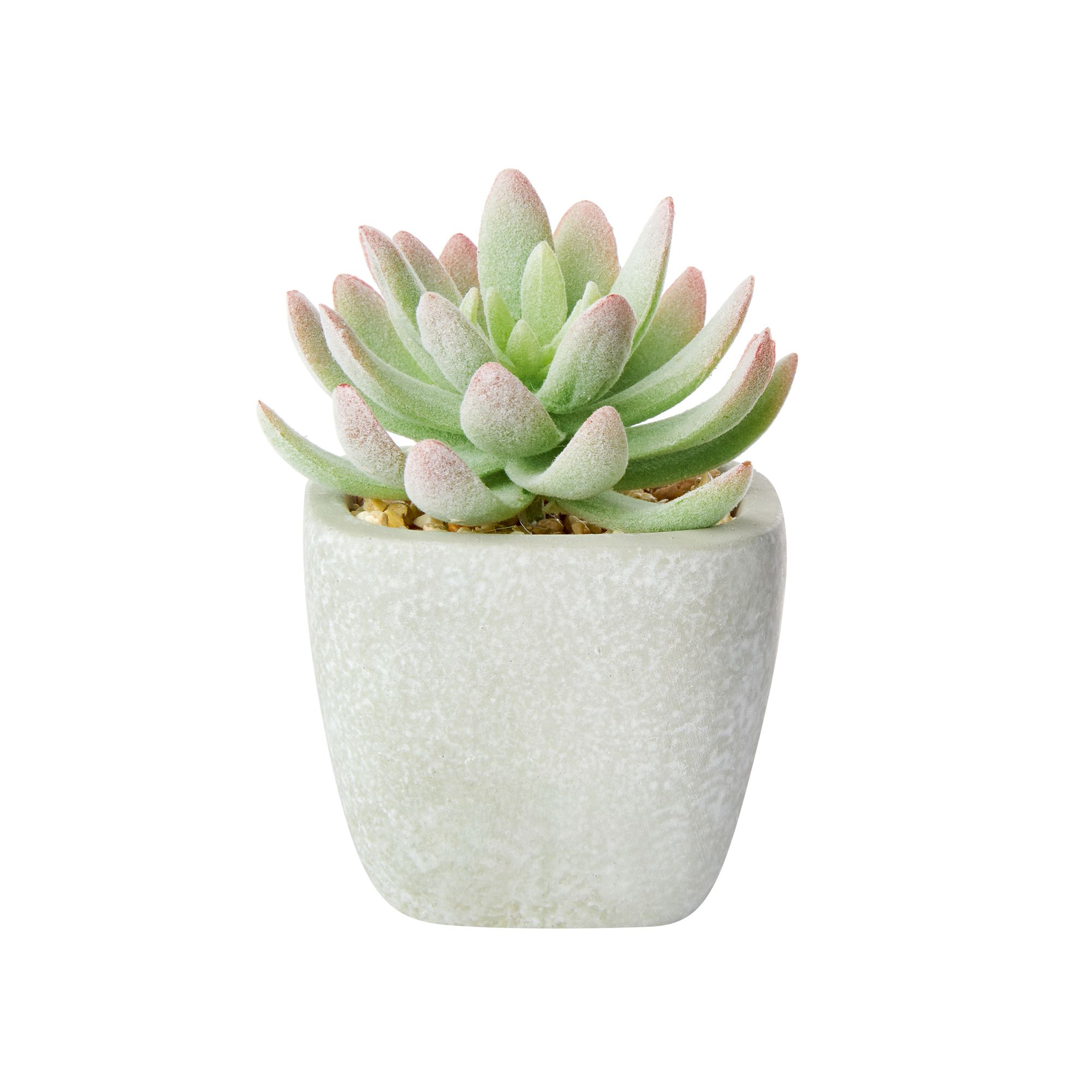 16cm Aloe rose cactus Artificial plant in Grey Concrete Pot
