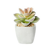 16cm Rose cactus Artificial plant in Grey Concrete Pot