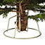 180-210cm Nordmann fir Medium Slim Cut christmas tree