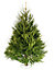 180-210cm Norway spruce Large Full Cut christmas tree