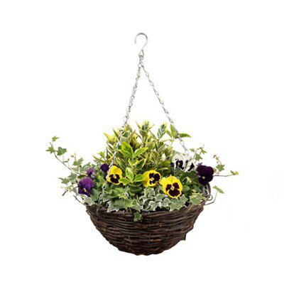 2 ASSORTED PRE PLANTED HANGING BASKETS