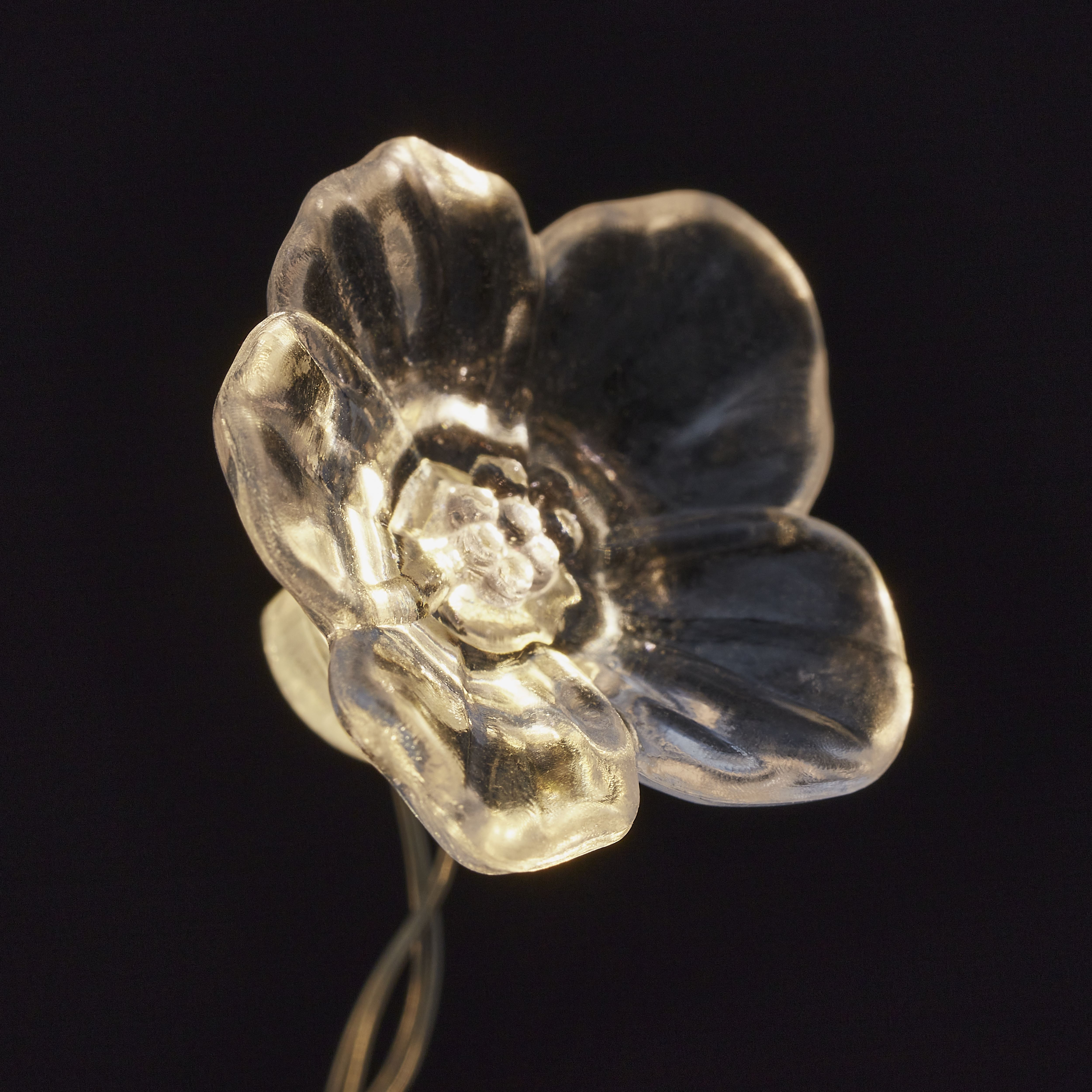 20 Warm white Flower LED String lights with 2.2m Silver cable