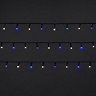 240 Blue/Ice white (Dual colour) LED String lights Green cable