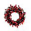 240 Red Berry LED String lights Green cable
