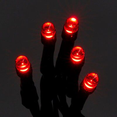 240 Red LED String lights Green cable