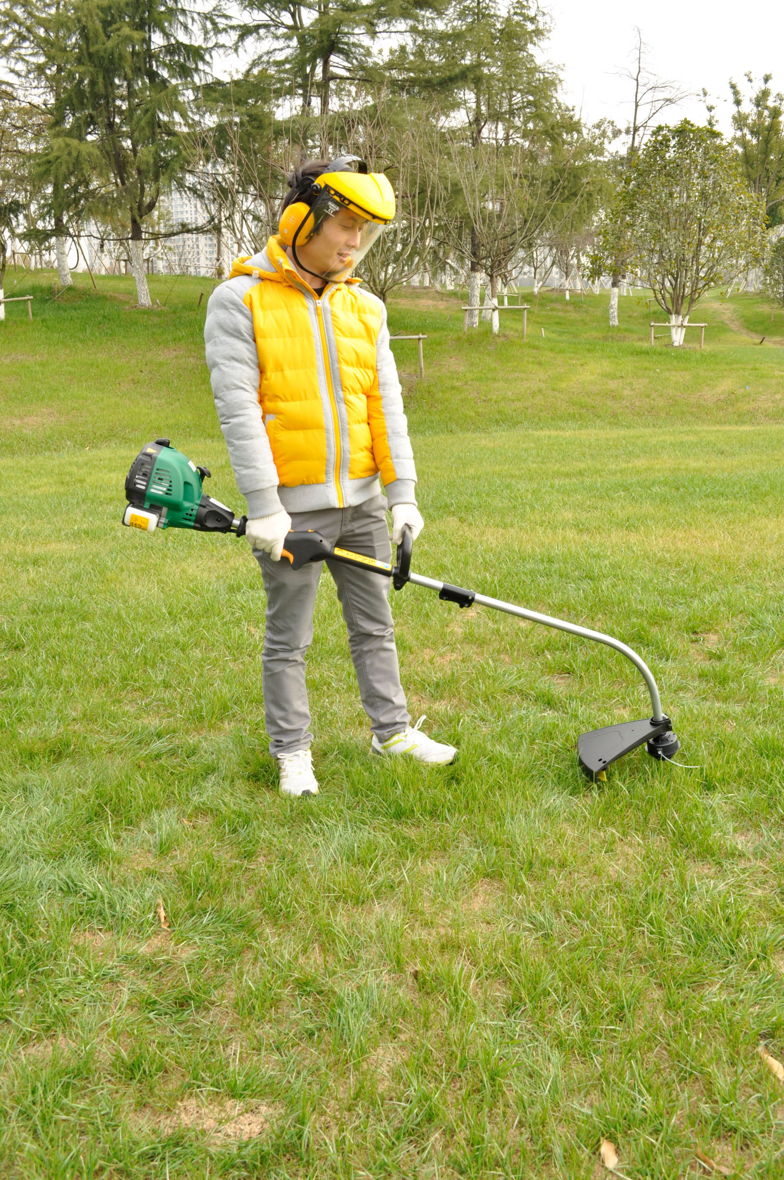 petrol strimmers b&q