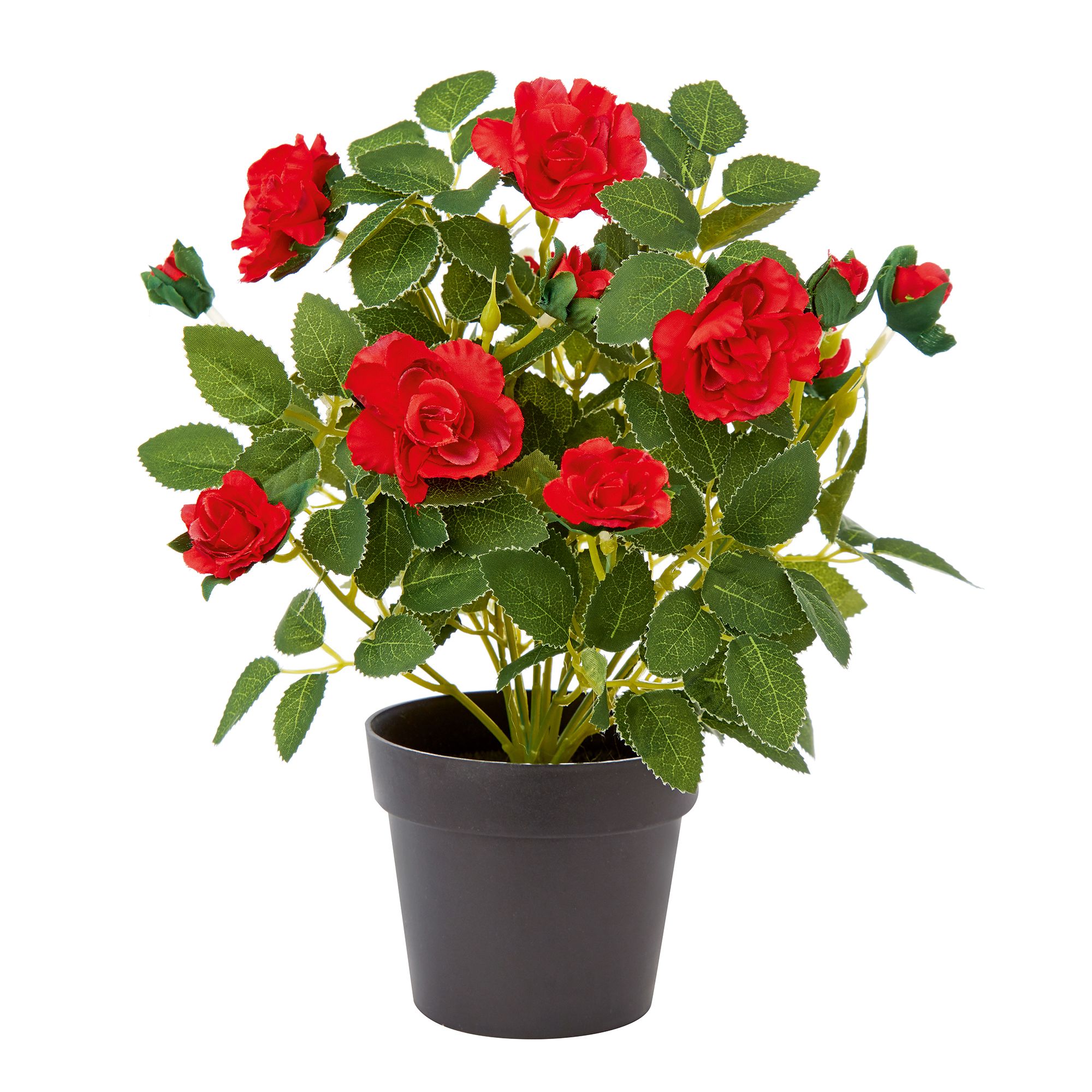 27cm Red Rose Artificial plant in Black Pot DIY at B&Q