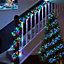 3000 Multicolour Cluster LED String lights Green cable