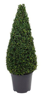 30CM BUXUS PYRAMID 70 80CM | DIY at B&Q