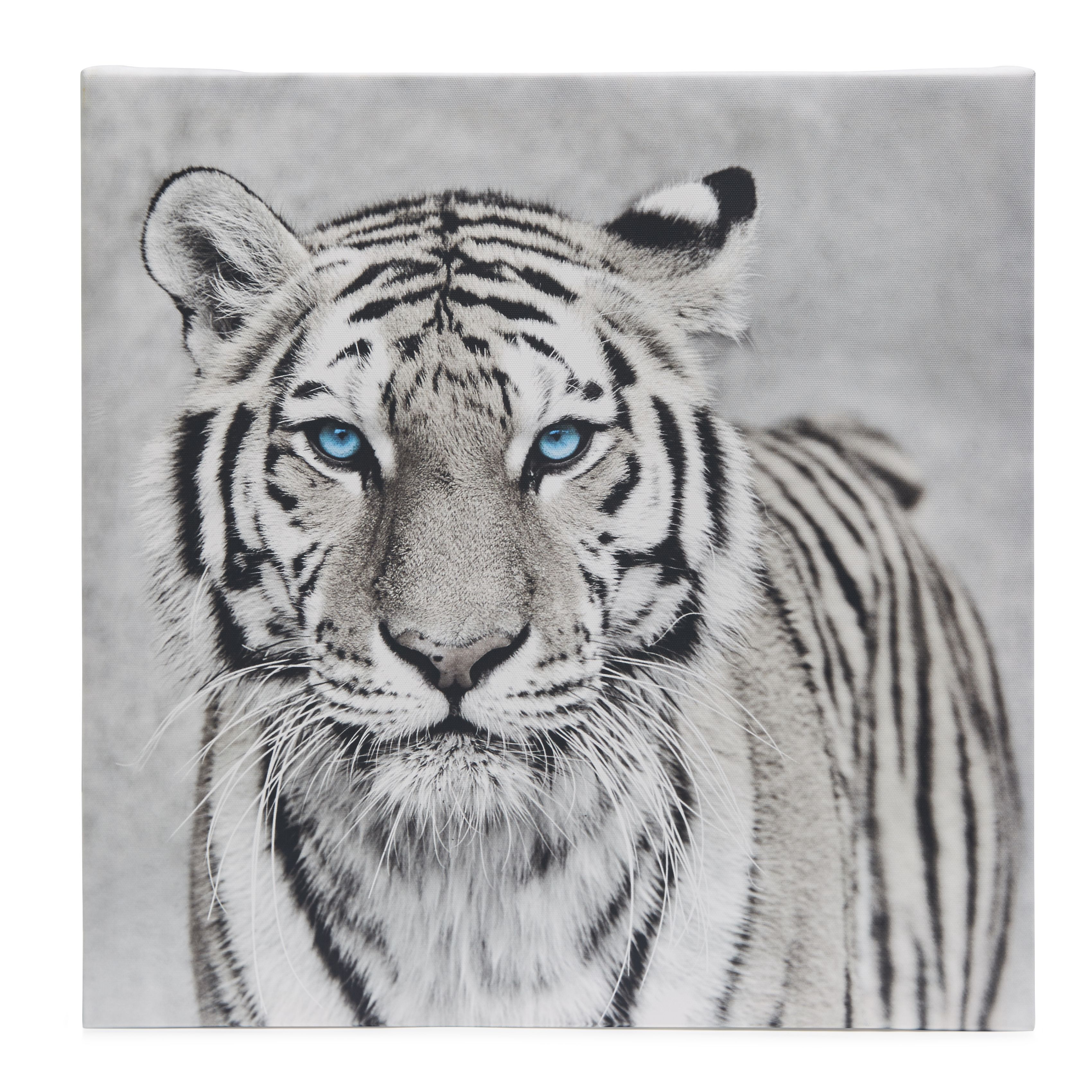 Tiger Black & white Canvas art (H)450mm (W)450mm