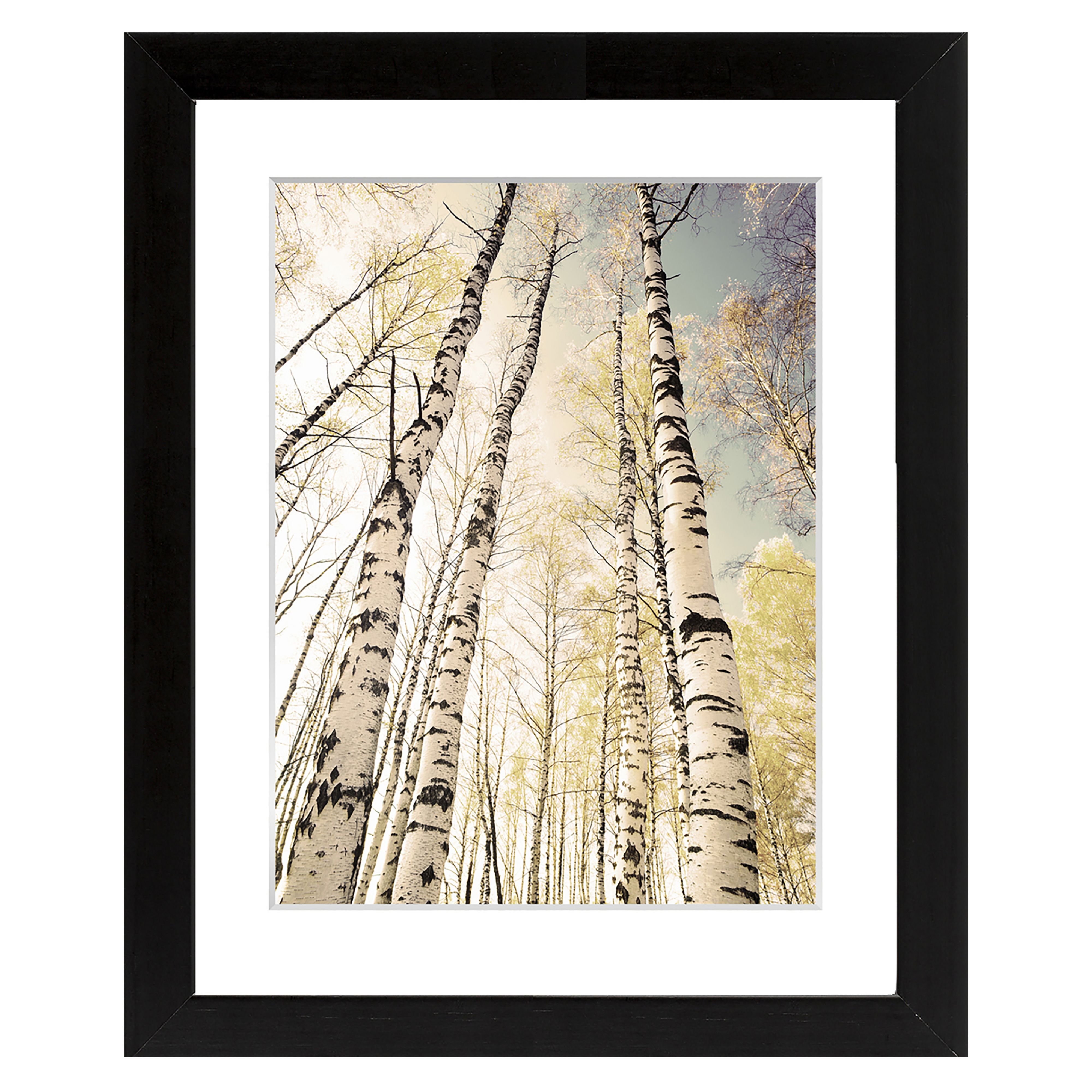 Autumn trees Black Framed print (H)440mm (W)540mm