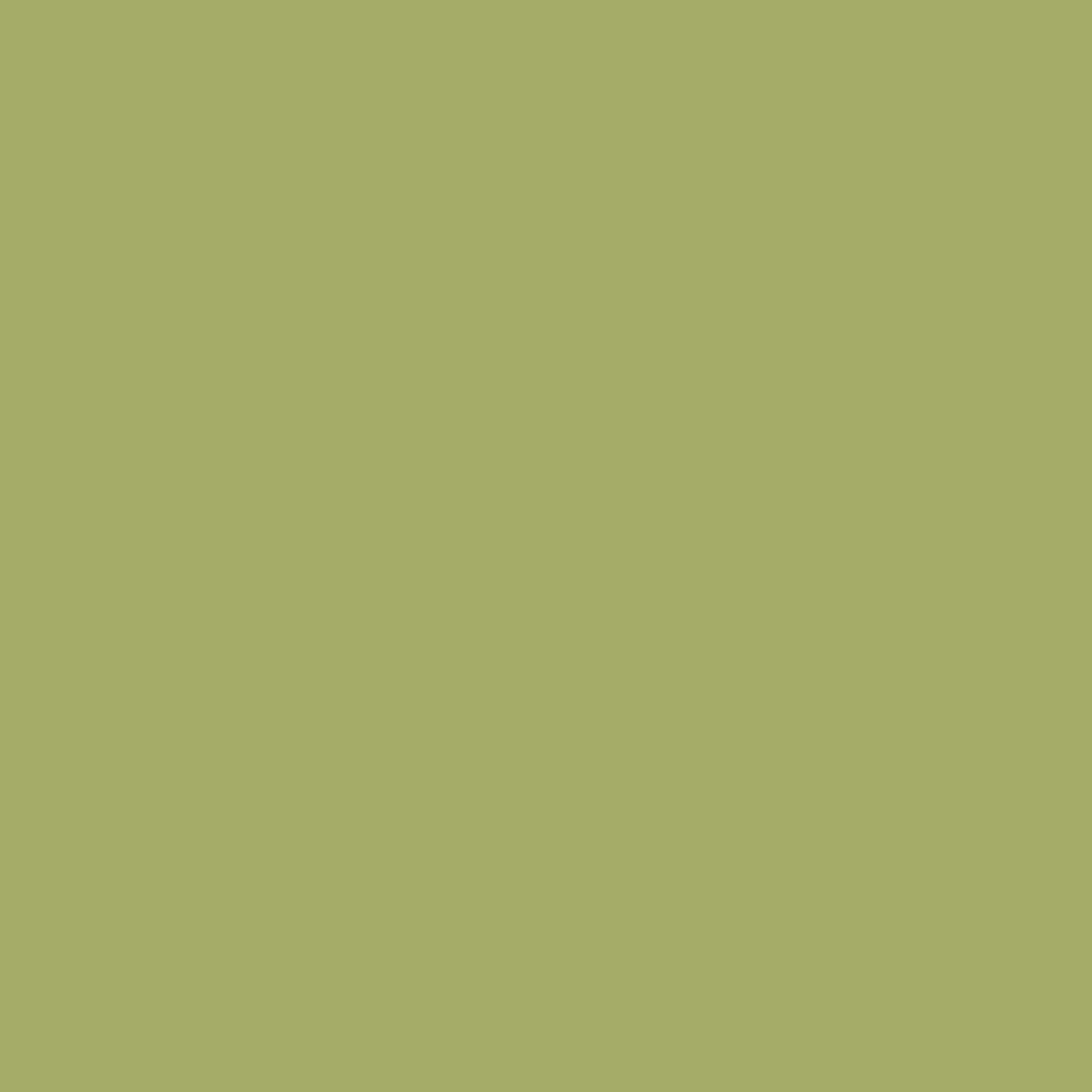 Colours Bacau Green Plain Wallpaper