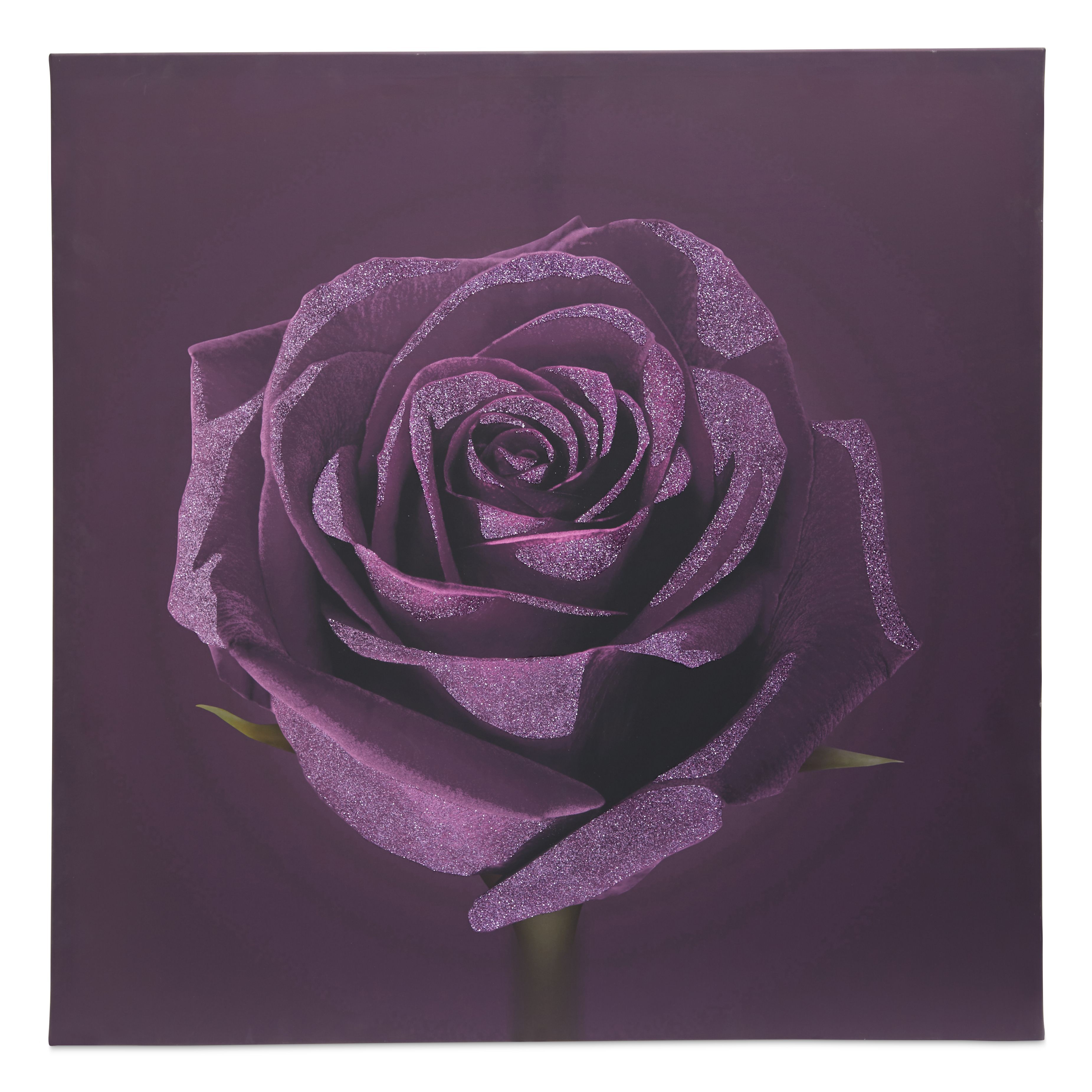Rose Purple Canvas art (H)750mm (W)750mm
