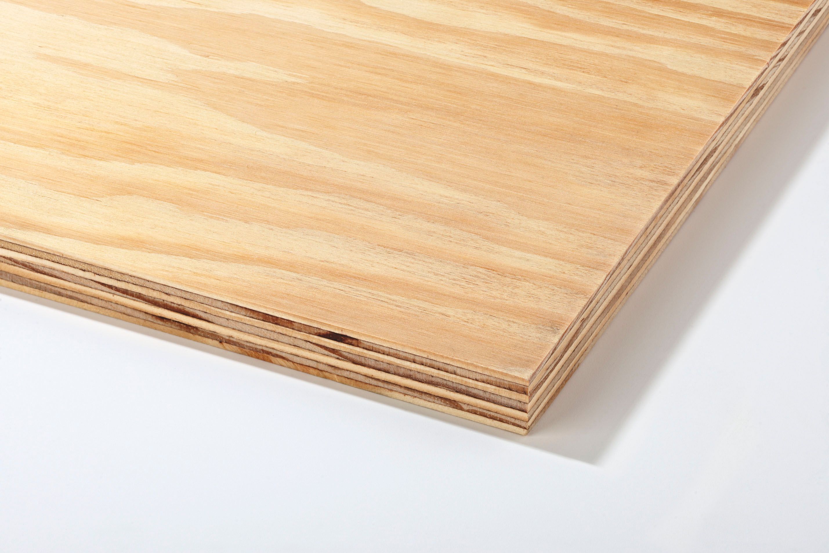 Metsä Wood Plywood Sheet (Th)18mm (W)607mm (L)2440mm