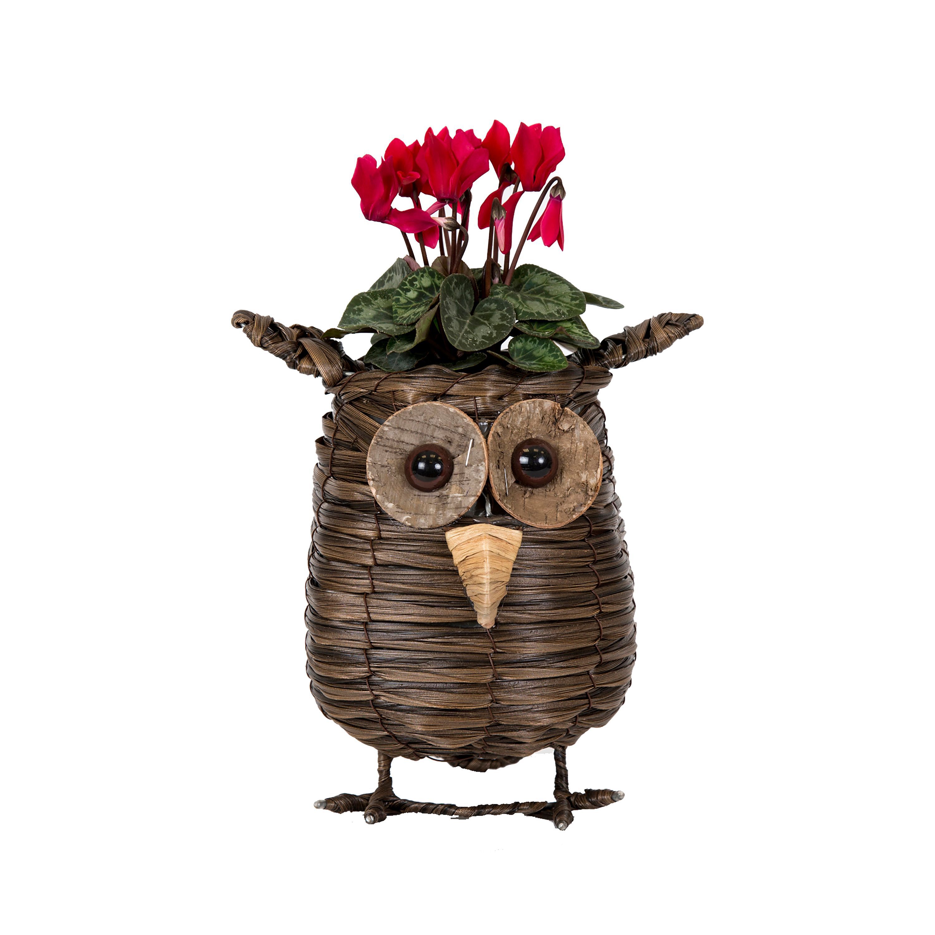 3663602069379 NOVELTY ANIMALS 9CM DIY at B&Q