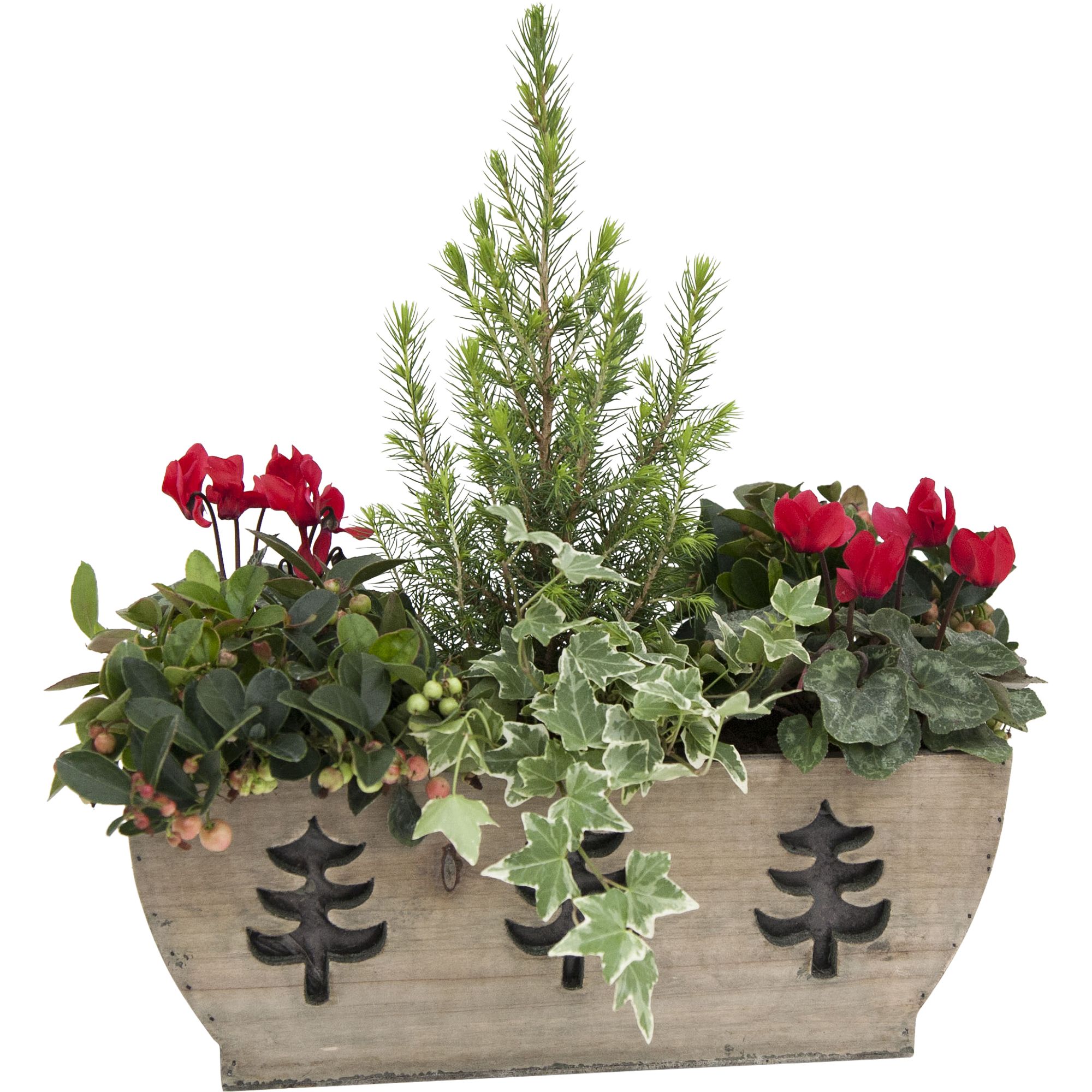 WOODEN PLANTER WITH TREES