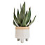 36cm Aloe Vera Artificial plant in Grey Ceramic Pot