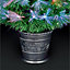 3ft Multicolour LED Colour changing potted Pre-lit Fibre optic christmas tree