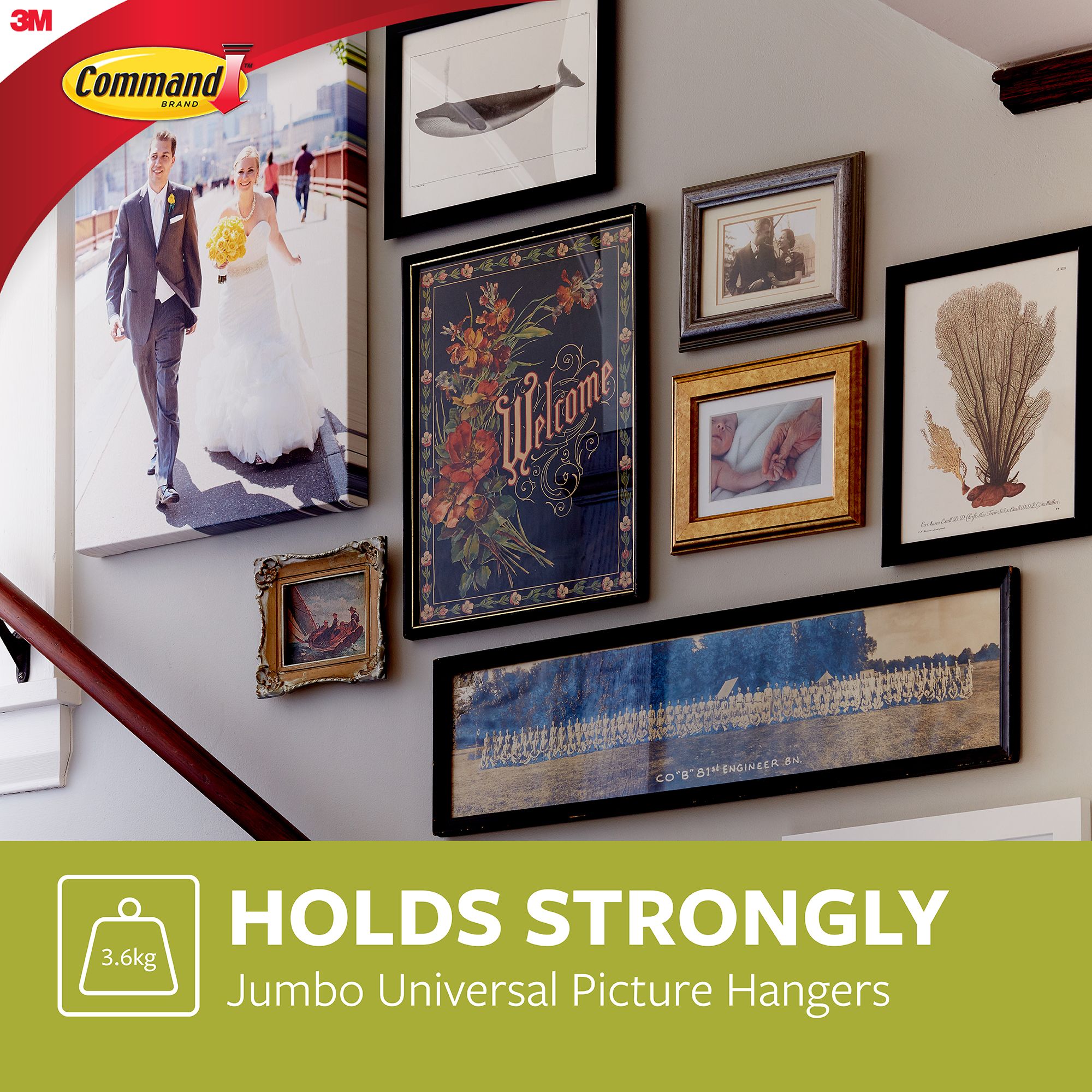 3M Command Jumbo Picture hanging Sticky nail (Holds)3.6kg - 9