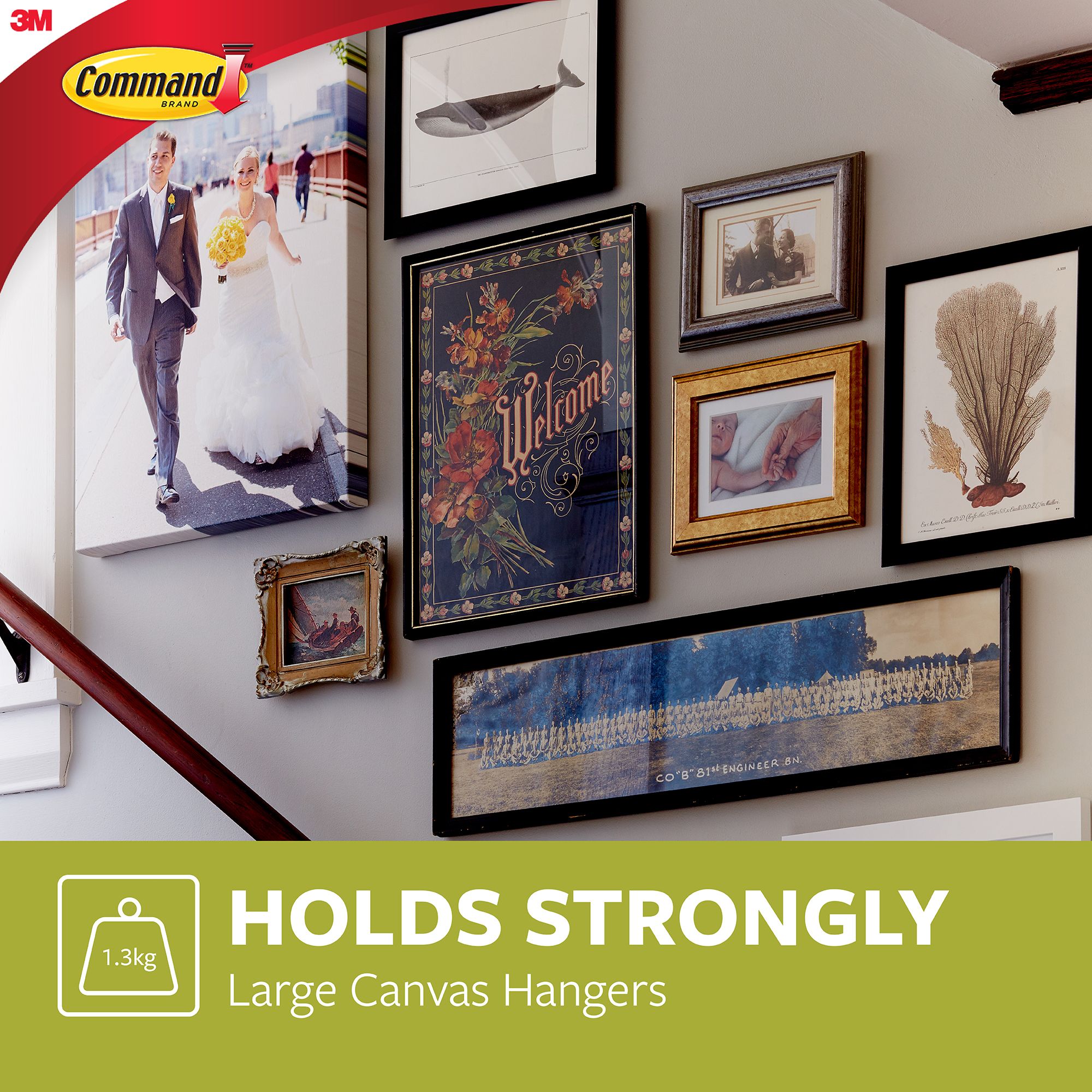 3M Command Large Single White Picture hanging Canvas hanger (Holds)1.3kg - 9