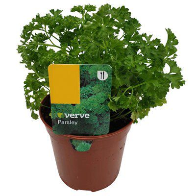 4 ASSORTED 1L HERBS