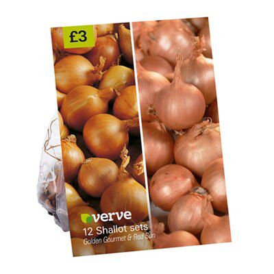 4 ASSORTED SEEDS POTAT ONION SHALT GRLIC