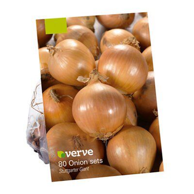 4 ASSORTED SEEDS POTAT ONION SHALT GRLIC