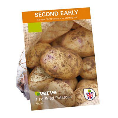 4 ASSORTED SEEDS POTAT ONION SHALT GRLIC