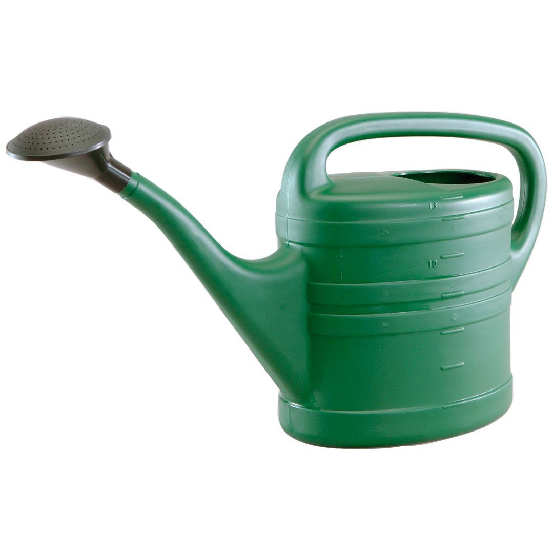 Sankey Watering can