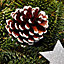 40cm Gold & orange Pine cone Christmas wreath