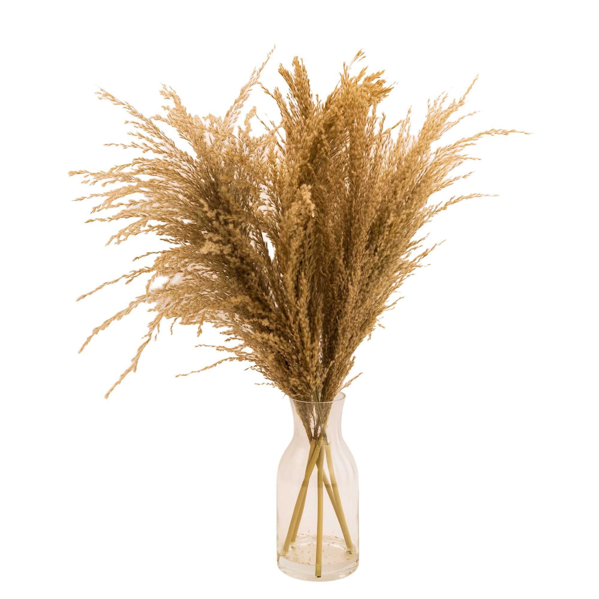 49cm Natural Pampas grass Artificial plant in Clear Glass Vase DIY at B&Q