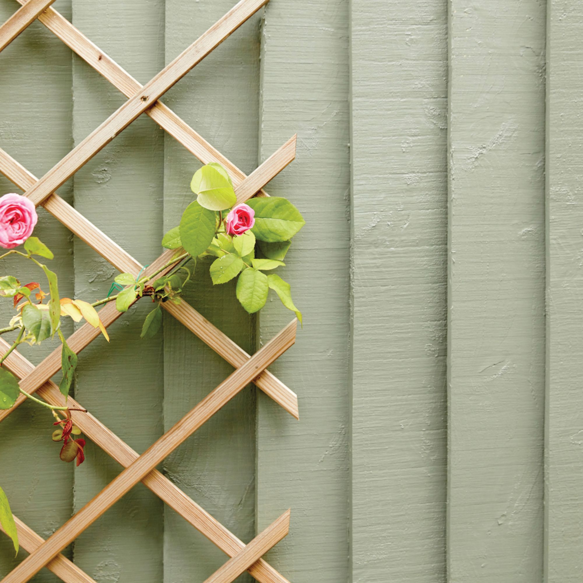 shop fence paint