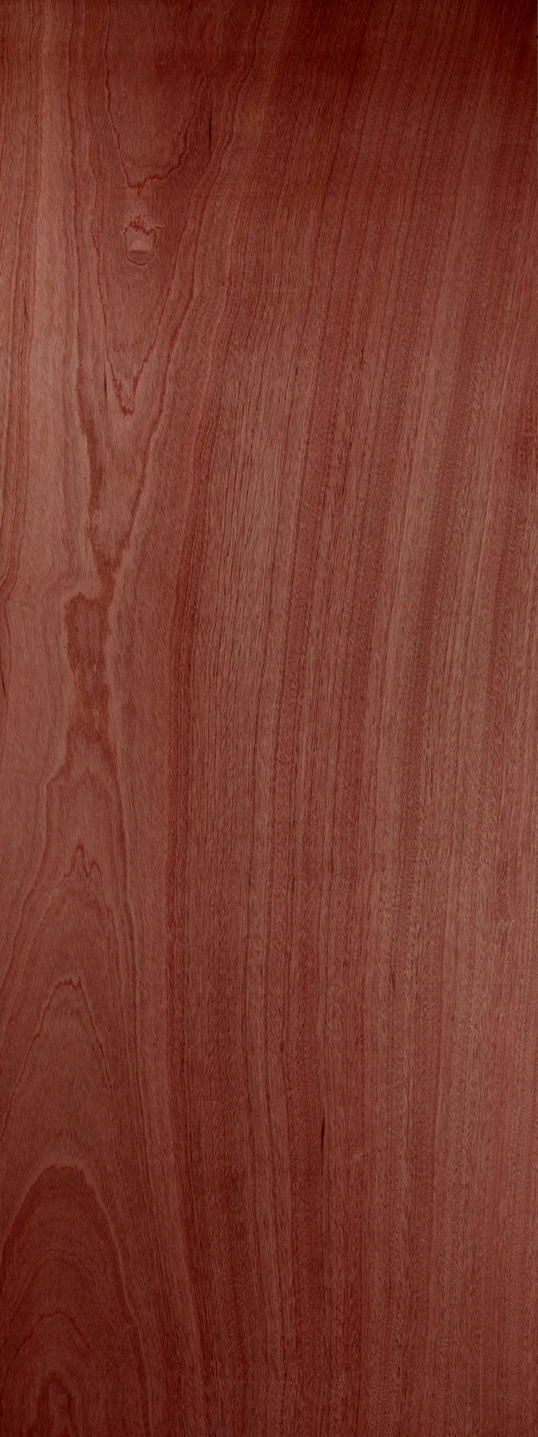 Flush Ply veneer Left & RHed Door, (H)1981mm (W)838mm