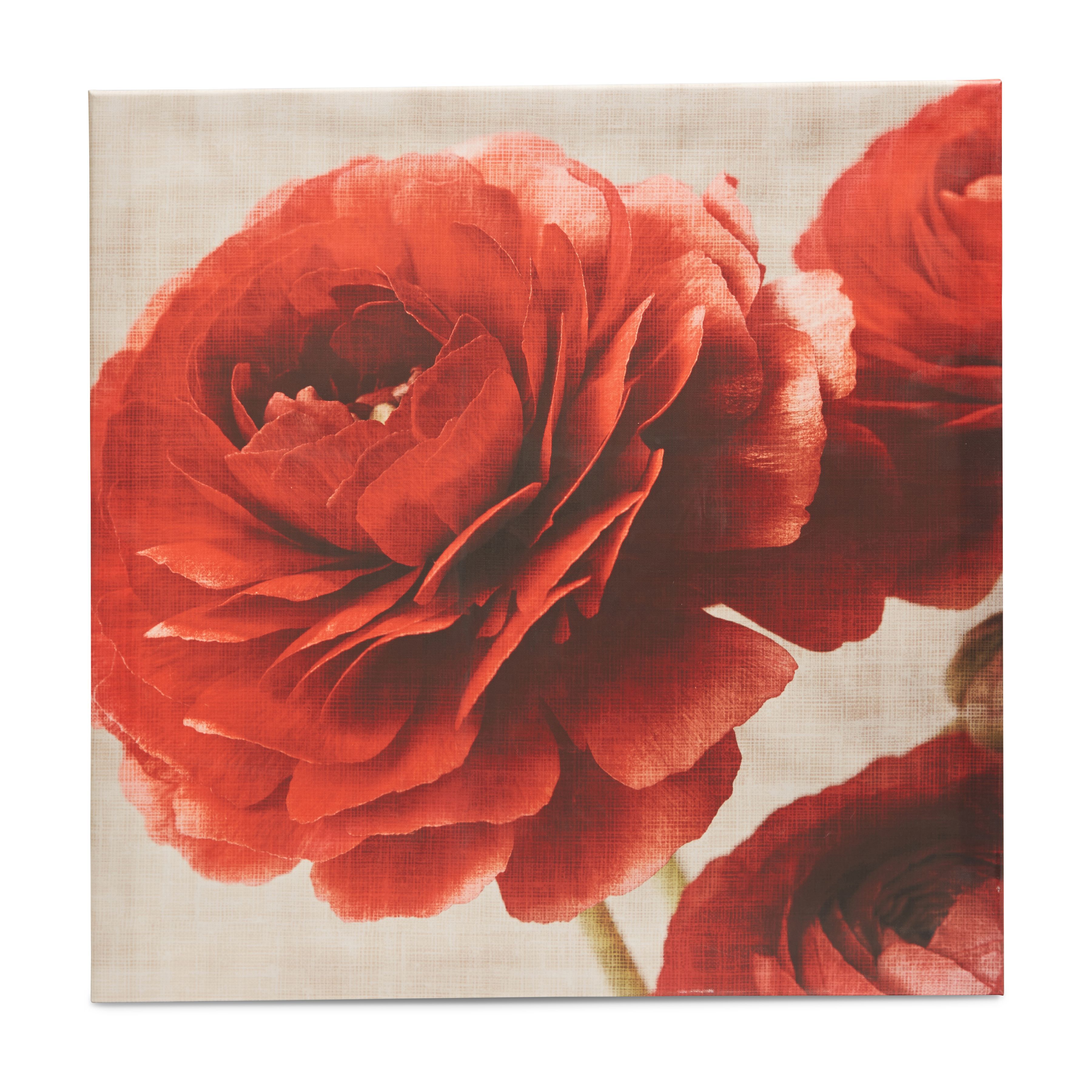 Floral Red & white Canvas art (H)600mm (W)600mm