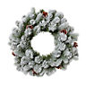 50cm Green Frosted Wreath