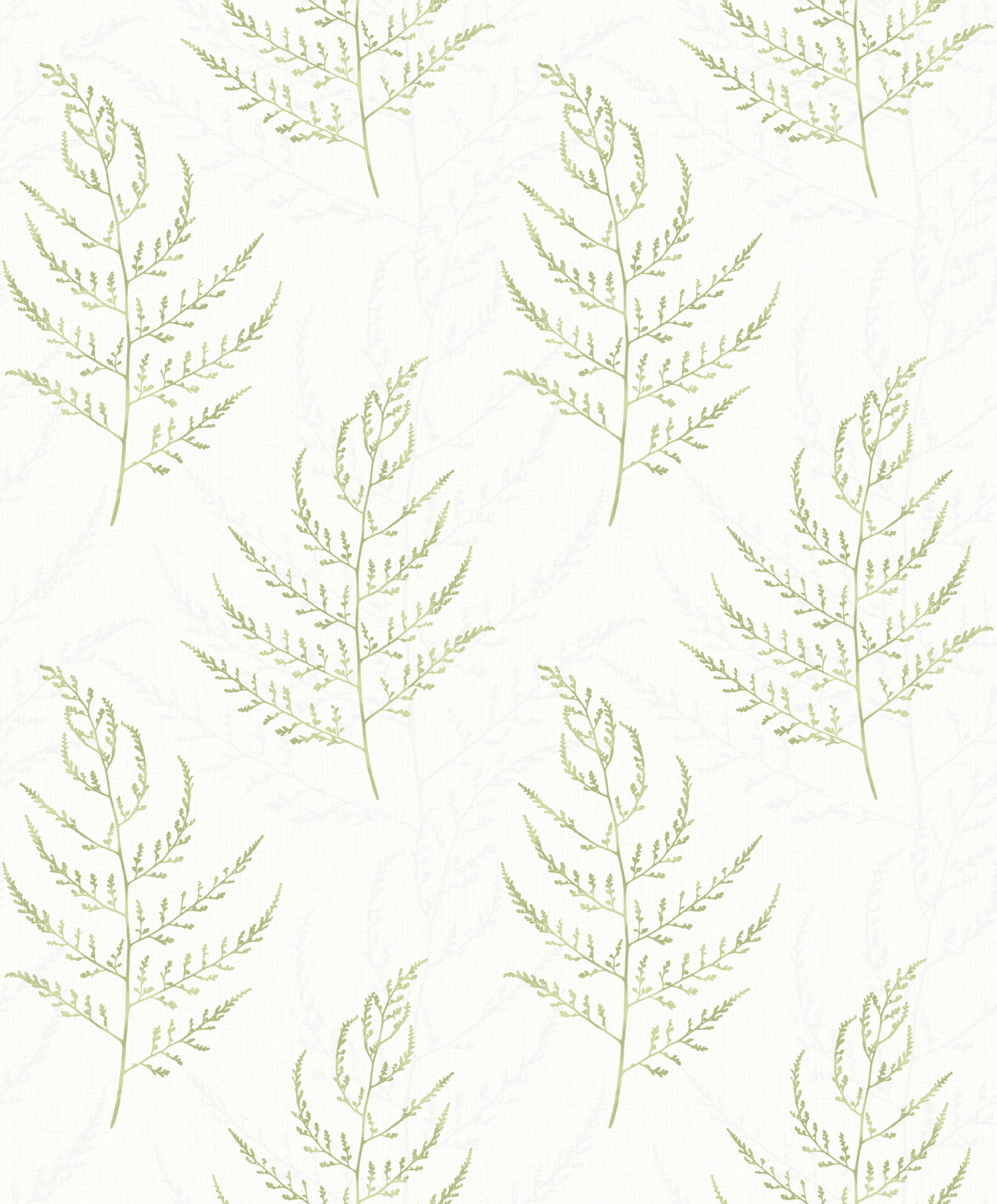 Gold Latilia Green Organic Wallpaper