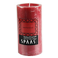 5411708170462 SKIP19D SPAAS STRAWBERRY & FOREST FRUITS