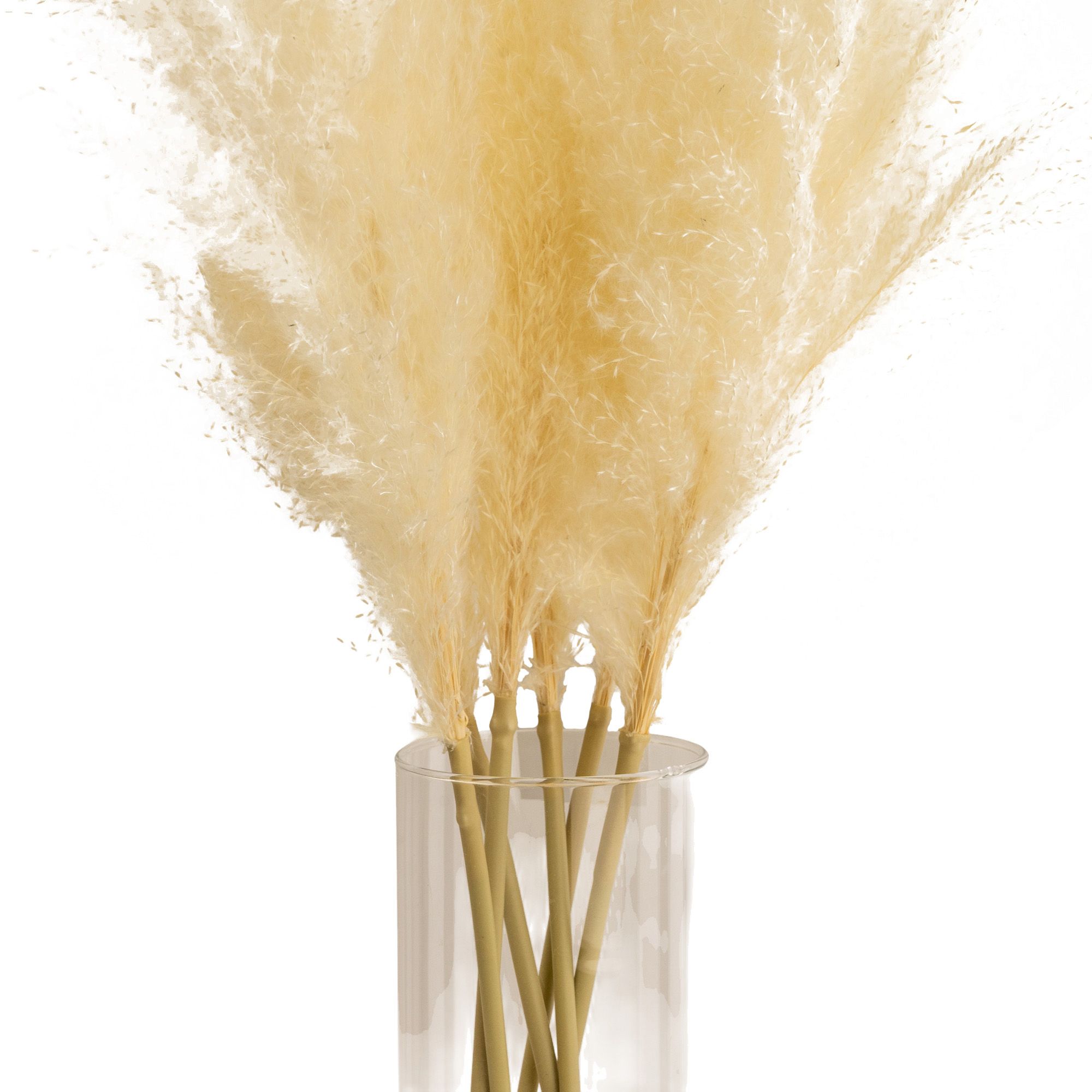 64cm White Pampas grass Artificial plant in Clear Glass Vase