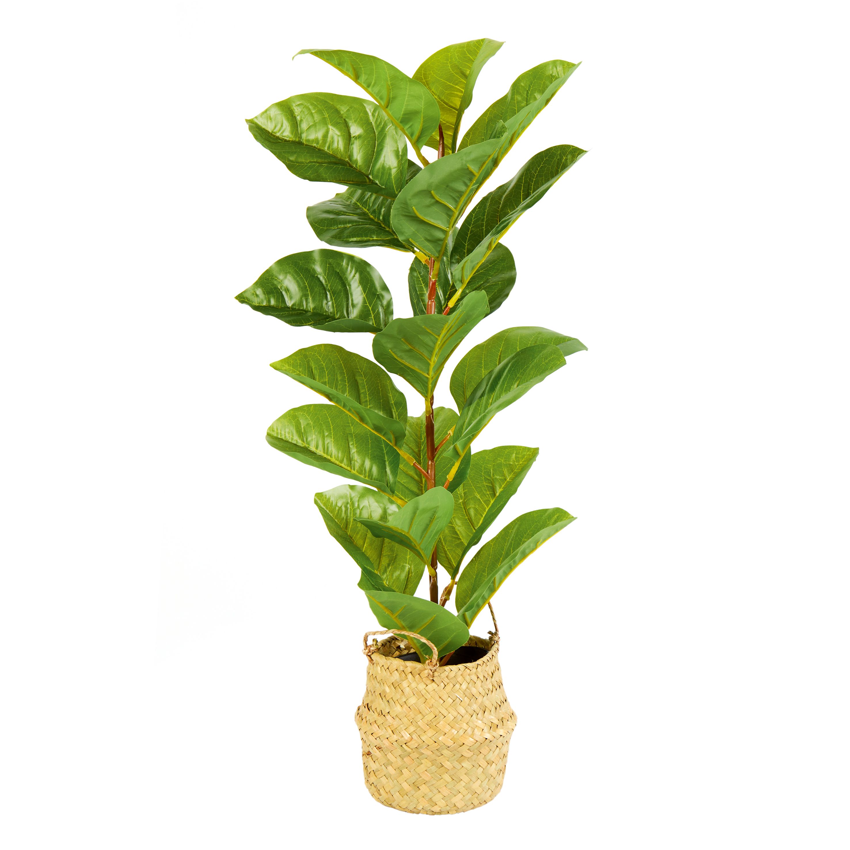 66cm Fiddle leaf Artificial plant in Natural Straw Basket